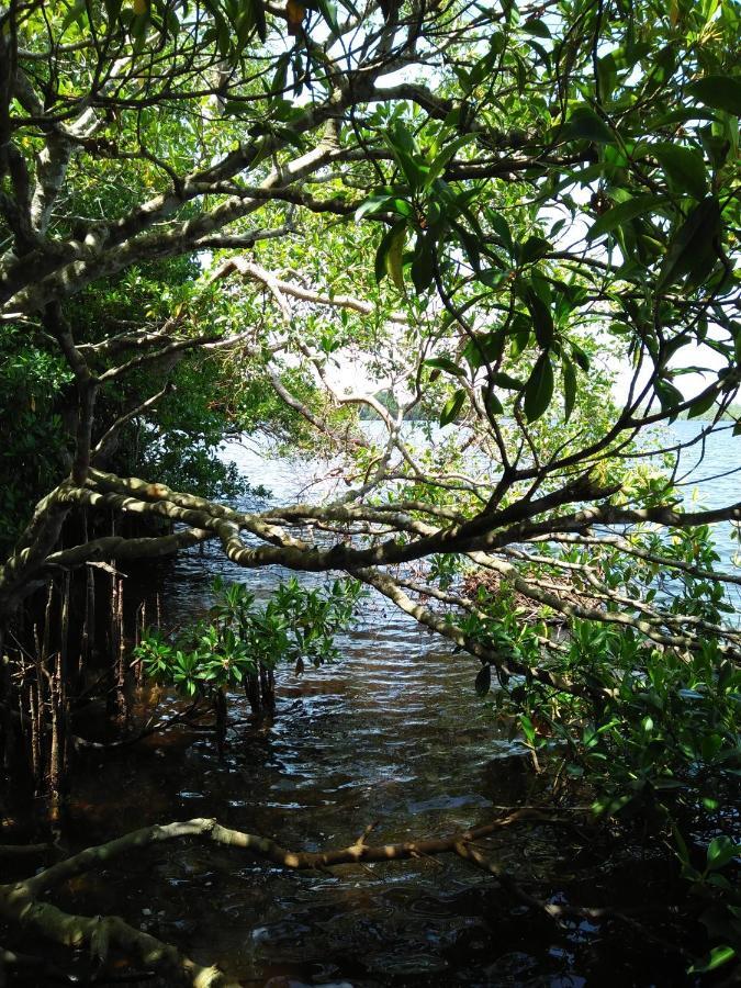 Ananda Villa Bentota Exteriör bild